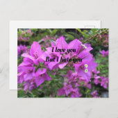 ポストカード、サイズ：標準はがき、紙: Semi-Gl ポストカード (正面/裏面)