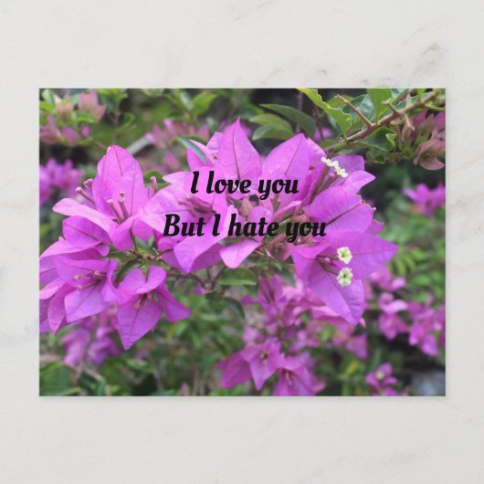 ポストカード、サイズ：標準はがき、紙: Semi-Gl ポストカード (正面)