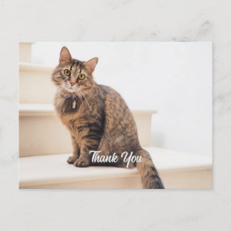 ポストカード、サイズ：標準はがき、紙: Semi-Gl ポストカード