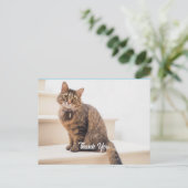 ポストカード、サイズ:標準はがき、紙: Semi-Gl ポストカード (スタンド正面)