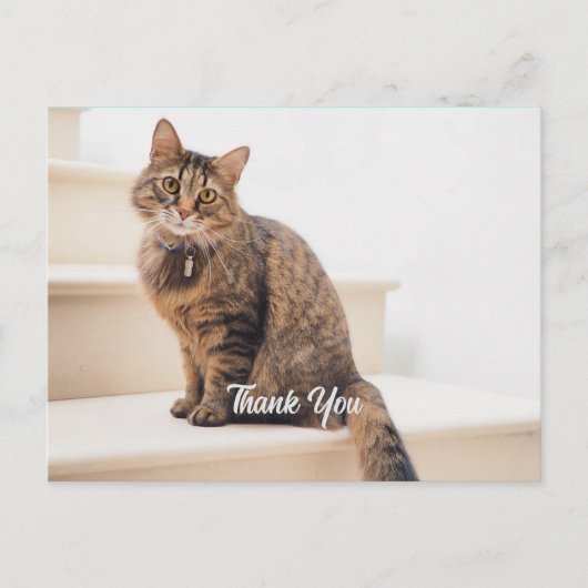 ポストカード、サイズ:標準はがき、紙: Semi-Gl ポストカード (正面)