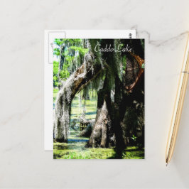 ポストカード – サイプレスファン