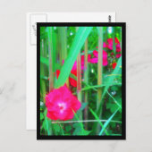 ポストカード-シティーフラワーズ-13 ポストカード (正面/裏面)