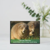 ポストカード:スナーキープレーリードッグ ポストカード (スタンド正面)