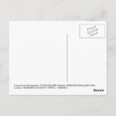 ポストカード – タイガース – Tiger Temple Thailand (裏面)