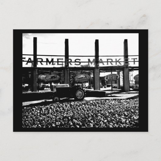 ポストカード – ダラス写真–12 (正面)