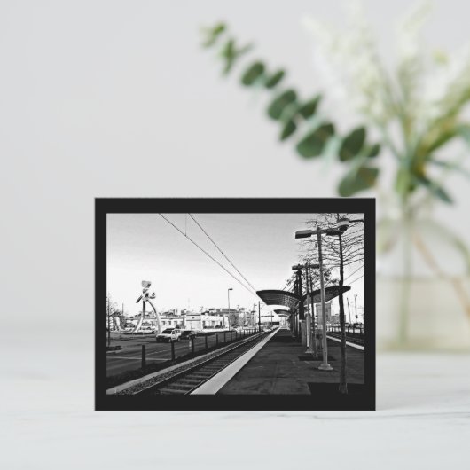 ポストカード – ダラス写真–29 (スタンド正面)