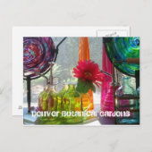 ポストカード:デンバー植物園 ポストカード (正面/裏面)