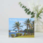 ポストカード、バルバドス、ビーチの風景、ヤシの木 ポストカード (スタンド正面)