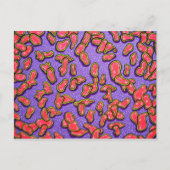 ポストカード – ピンクセル –  (正面)