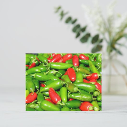 ポストカード – ピーマン (スタンド正面)