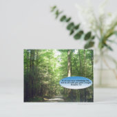 ポストカード:フォレスト内のパス ポストカード (スタンド正面)