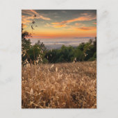 ポストカード – フリーモントピーク州パーク，カリフォルニア (正面)