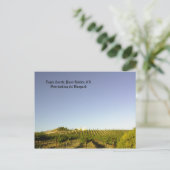 ポストカード:ブドウ園を見下ろすイーグル城 ポストカード (スタンド正面)