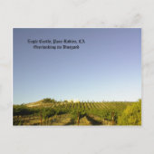 ポストカード:ブドウ園を見下ろすイーグル城 ポストカード (正面)
