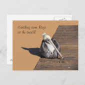 ポストカード – ペリカンオンピア (正面/裏面)