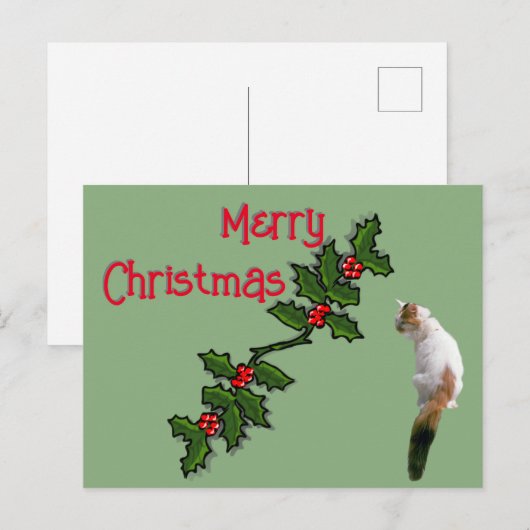 ポストカード - メリークリスマス ヒイラギと三毛猫 (正面/裏面)