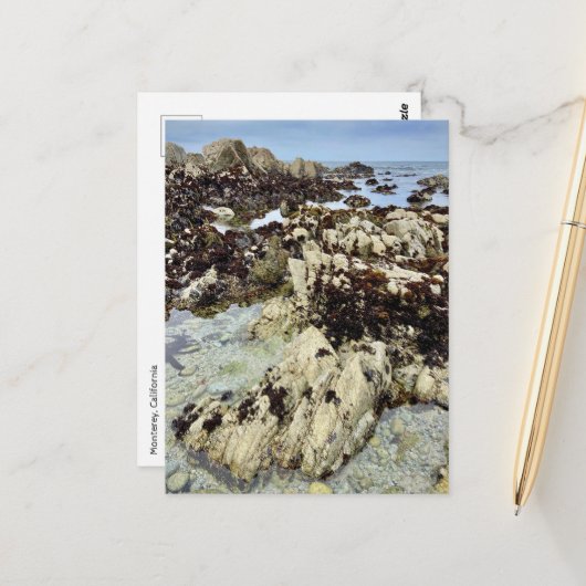 ポストカード – モントレー，カリフォルニア (正面/裏面インサイチュ)