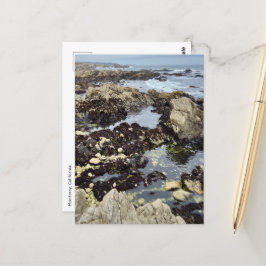 ポストカード – モントレー，カリフォルニア