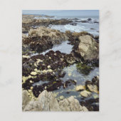 ポストカード – モントレー,カリフォルニア (正面)