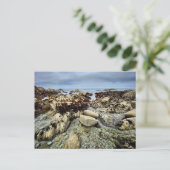 ポストカード – モントレー，カリフォルニア (スタンド正面)