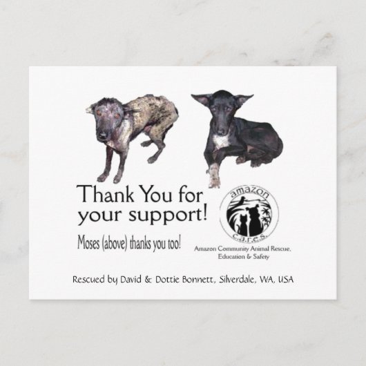 ポストカード: モーゼス、助けの前後 ポストカード (正面)