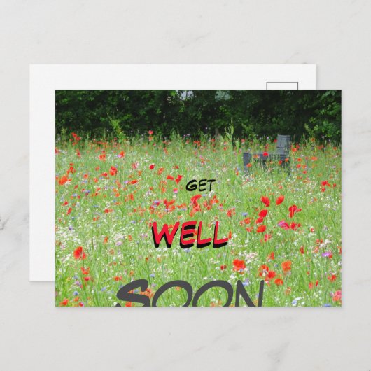 ポストカード ワイルド フラワーズ ケアー ハウス すぐに回復 (正面/裏面)