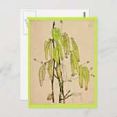 ポストカード – ヴィンテージアートチャールズレンニーマッキントッシュ11 (正面/裏面)