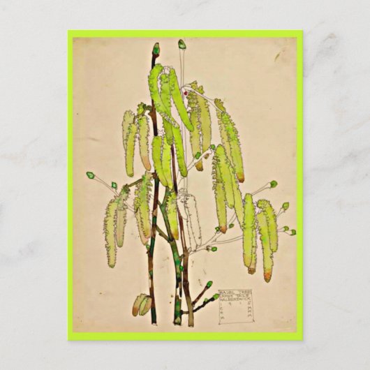 ポストカード – ヴィンテージアートチャールズレンニーマッキントッシュ11 (正面)