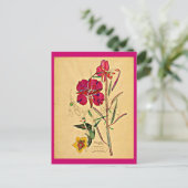 ポストカード – ヴィンテージアートチャールズレンニーマッキントッシュ26 (スタンド正面)