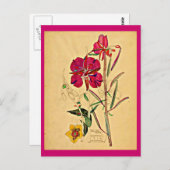 ポストカード – ヴィンテージアートチャールズレンニーマッキントッシュ26 (正面/裏面)