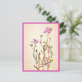 ポストカード – ヴィンテージイラストレーション – ビアトリックスポッター1 (スタンド正面)