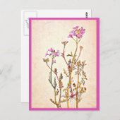 ポストカード – ヴィンテージイラストレーション – ビアトリックスポッター1 (正面/裏面)