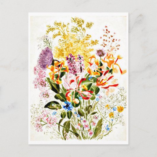 ポストカード – ヴィンテージイラストレーション – ビアトリックスポッター10 (正面)