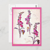 ポストカード – ヴィンテージイラストレーション – ビアトリックスポッター13 (正面/裏面)