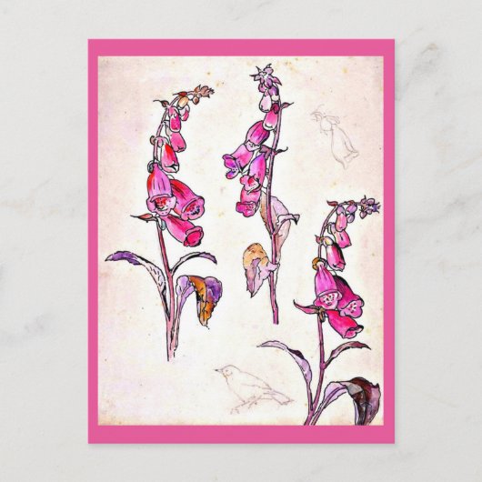 ポストカード – ヴィンテージイラストレーション – ビアトリックスポッター13 (正面)