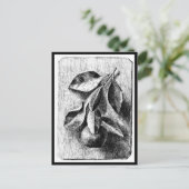 ポストカード – ヴィンテージイラストレーション – ビアトリックスポッター8 (スタンド正面)