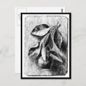 ポストカード – ヴィンテージイラストレーション – ビアトリックスポッター8 (正面/裏面)