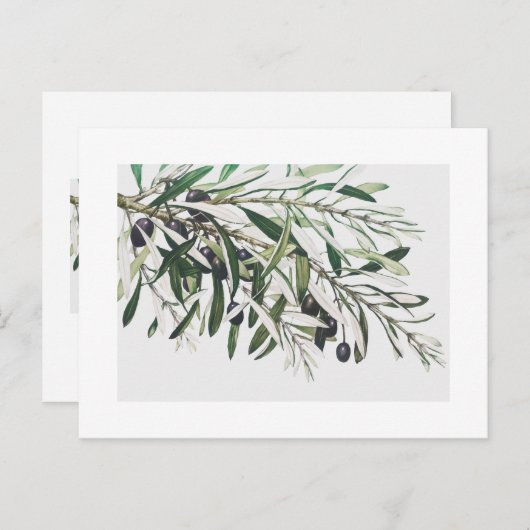 ポストカード:ヴィンテージオリーブ枝 ポストカード (正面/裏面)