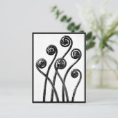 ポストカード – ヴィンテージ写真 – カールブロッスフェルト8 (スタンド正面)