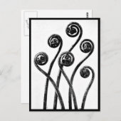 ポストカード – ヴィンテージ写真 – カールブロッスフェルト8 (正面/裏面)