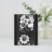 ポストカード – ヴィンテージ写真 – チャールズ・オーブリー23 (スタンド正面)