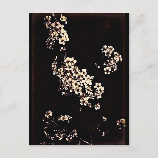 ポストカード – ヴィンテージ写真 – チャールズ・オーブリー27 (正面)