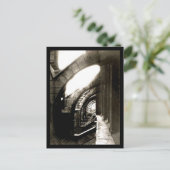 ポストカード – ヴィンテージ写真 – ユージェーンアット15 (スタンド正面)