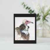 ポストカード-ヴィンテージ シカゴ アート-アビシニアンの鳥 10 ポストカード (スタンド正面)