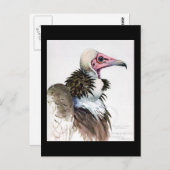 ポストカード-ヴィンテージ シカゴ アート-アビシニアンの鳥 10 ポストカード (正面/裏面)