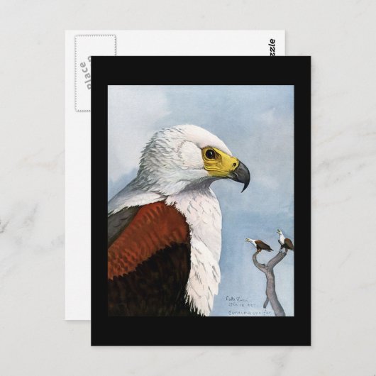 ポストカード-ヴィンテージ シカゴ アート-アビシニアンの鳥 9 ポストカード (正面/裏面)