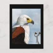 ポストカード-ヴィンテージ シカゴ アート-アビシニアンの鳥 9 ポストカード (正面)