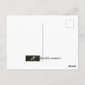 ポストカード.他のバラ ポストカード (裏面)