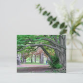 ポストカード：吉泉公園のヒストリックグローブ ポストカード (スタンド正面)